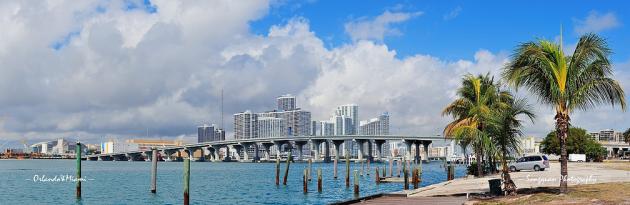 The Best Time To Visit Miami - MyDriveHoliday